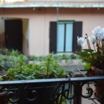 2 Locali Trivulzio – MM Gambara – De Angeli