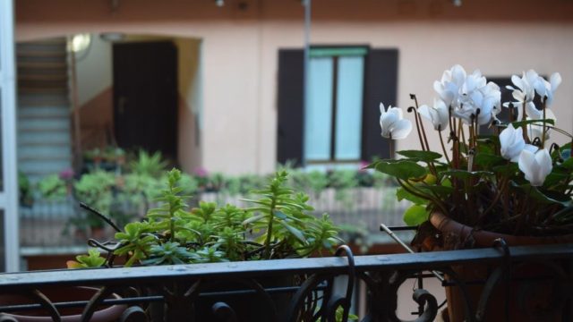 2 Locali Trivulzio – MM Gambara – De Angeli