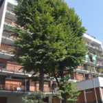 Ottimo monolocale Università Cattolica