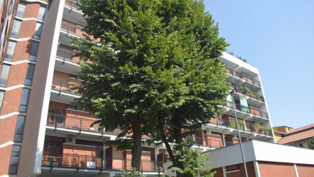 Ottimo monolocale Università Cattolica