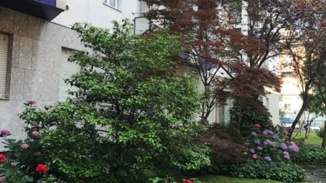 Bilocale ristrutturato Bocconi Via Zamenhoff