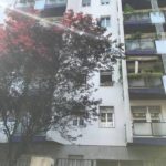 Bilocale ristrutturato Bocconi Via Zamenhoff